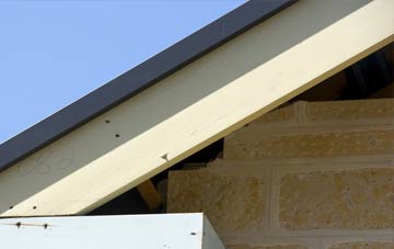 Heddington Wick fascia repairs