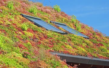 Heddington Wick living roof systems